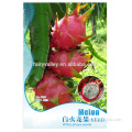 Planting White Red Pitaya Dragonfruit Seeds Night-Blooming Cereus Seeds